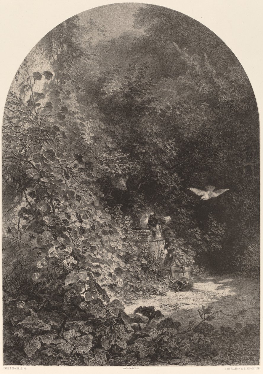 Puutarhan nurkka. tekijältä Karl Bodmer