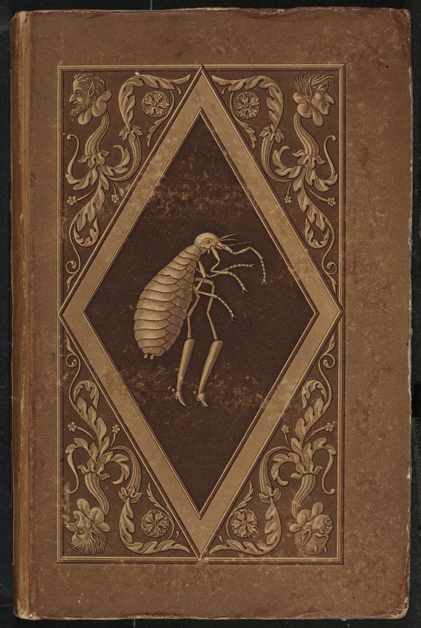mestari kirppu. Satu kahden ystävän seitsemässä seikkailussa (Master Flea: A Fairy-tale in Seven Adventures of Two Friends tekijältä Karl Friedrich Thiele, Ernst Theodor Amadeus Hoffmann