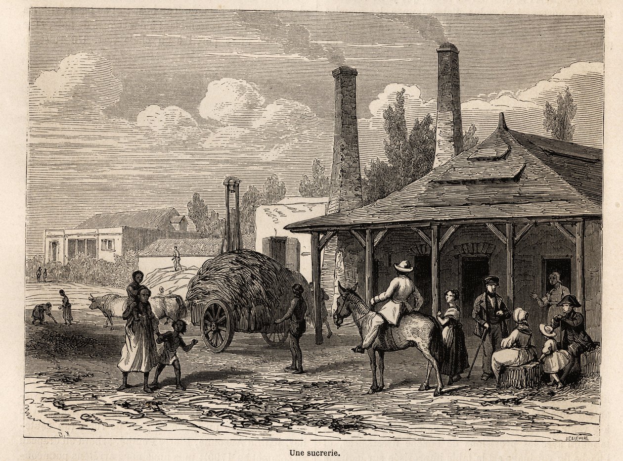 Sokeritehdas Riviere du Rempartista Mauritiukselta, piirustus Karl Girardet (1813-1871), havainnollistamaan Alfred Verneyn oleskelua Mauritiuksella vuonna 1861. Kaiverrus kirjaan "" Le tour du monde", toimittanut Edouard Charton tekijältä Karl Girardet