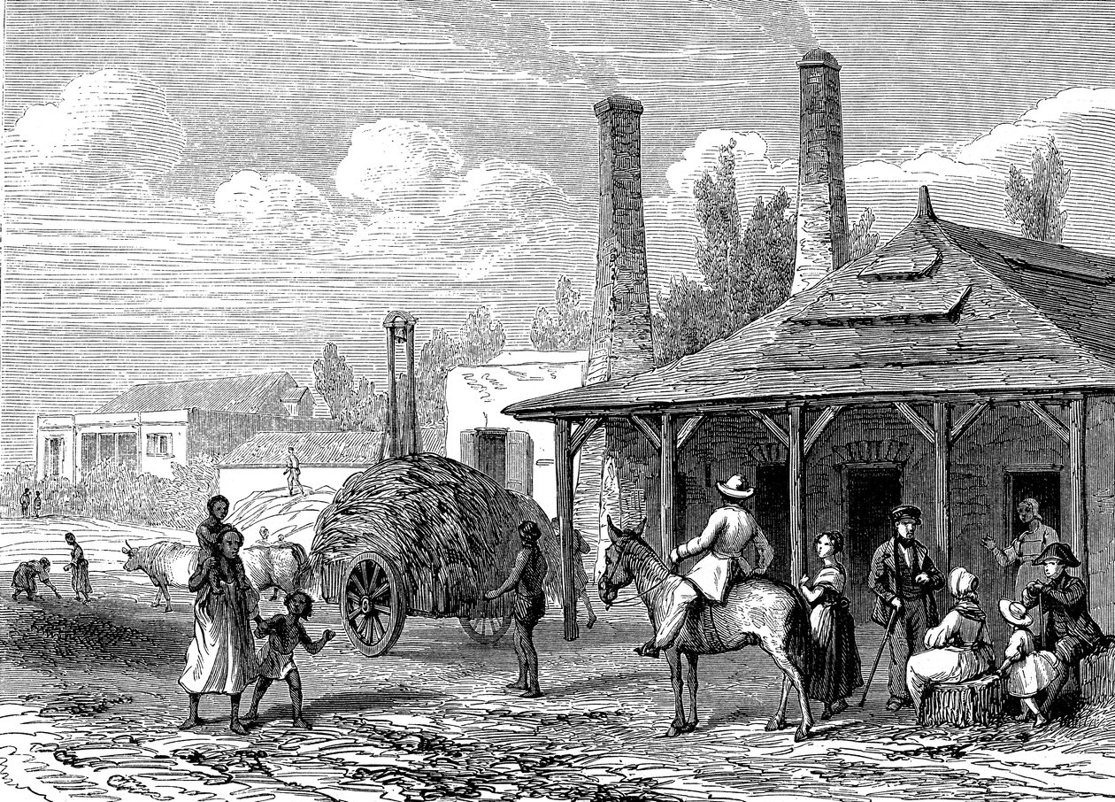 Sokeritehdas Mauritiuksella vuonna 1863. Le T du Monde Paris 1863 Kustantaja tekijältä Karl Girardet