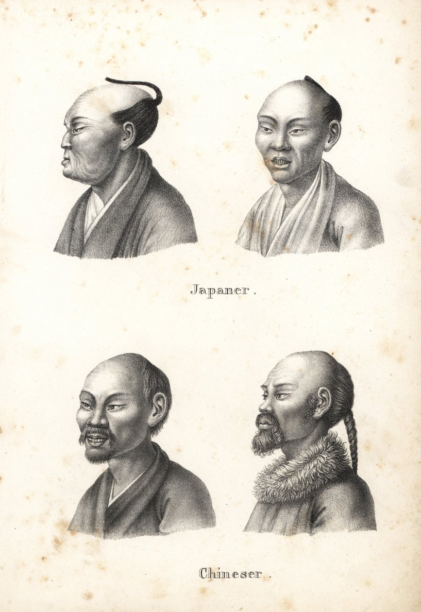 Rinnat japanilaisia miehiä chonmage topknot -kampuksella ja kiinalaisia miehiä, joilla on parta, toisessa letti. Karl Joseph Brodtmannin litografia Heinrich Rudolf Schinzin kuvitetusta ihmisten ja eläinten luonnonhistoriasta tekijältä Karl Joseph Brodtmann