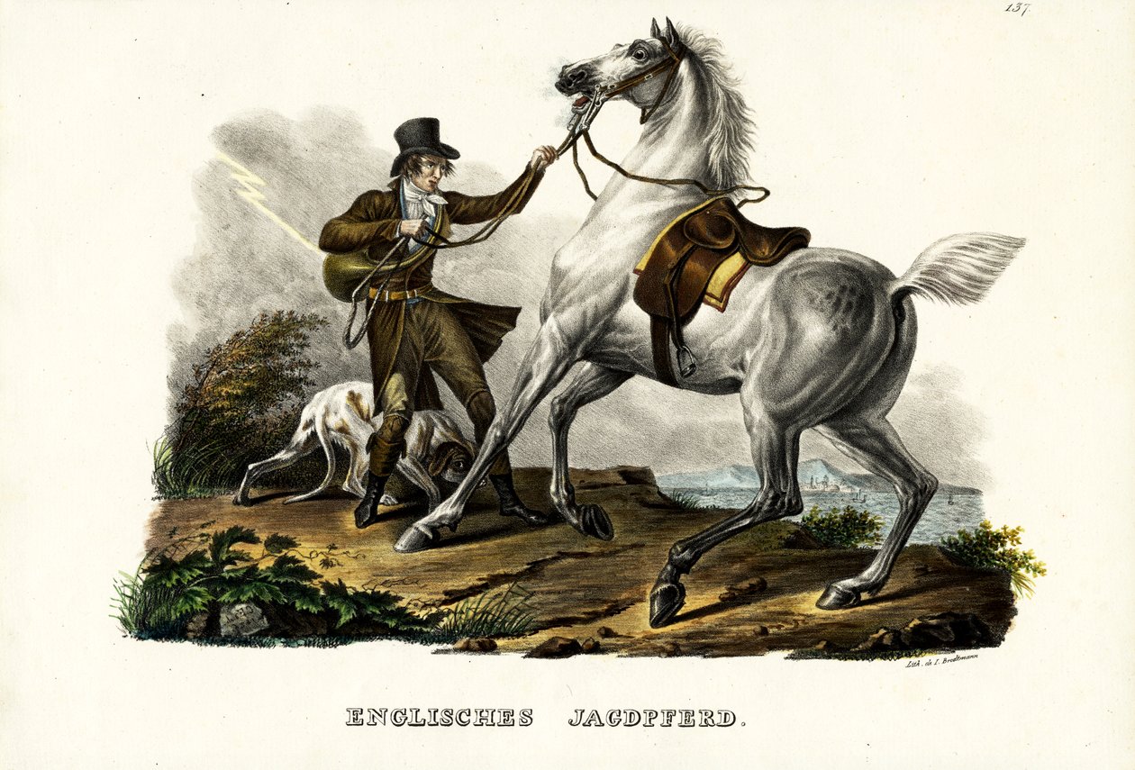 Englantilainen metsästäjähevonen, 1824 tekijältä Karl Joseph Brodtmann
