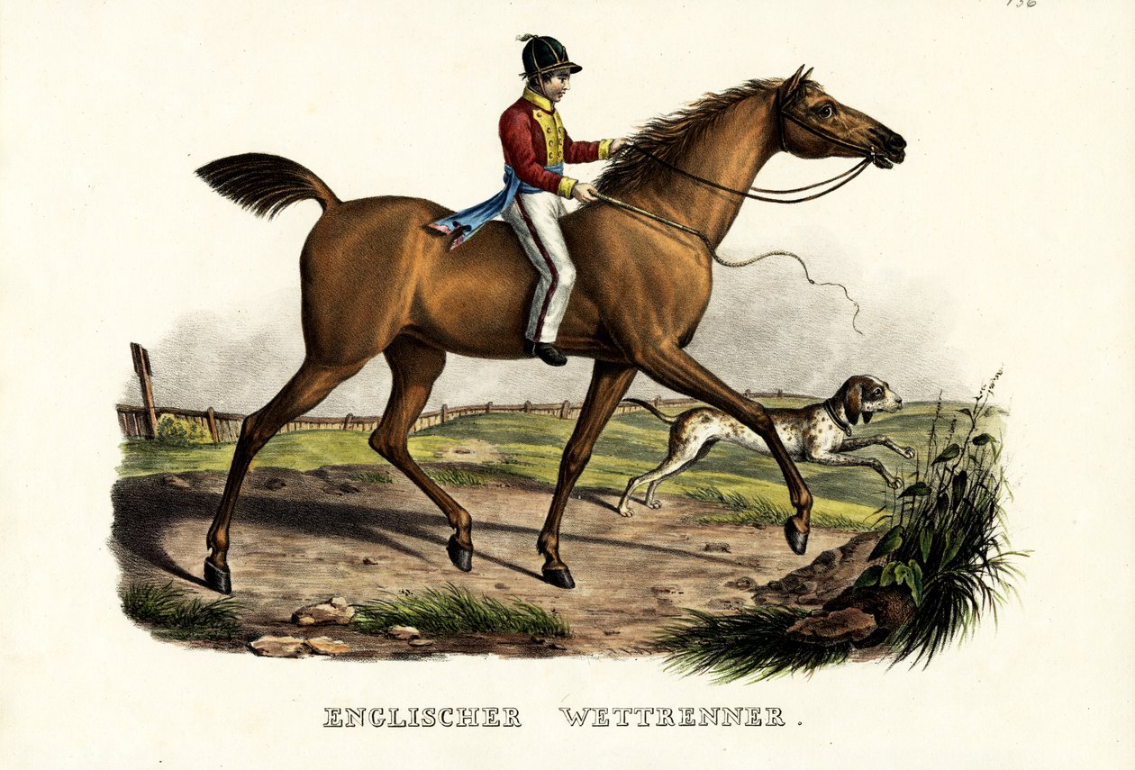 Englantilainen kilpahevonen, 1824 tekijältä Karl Joseph Brodtmann