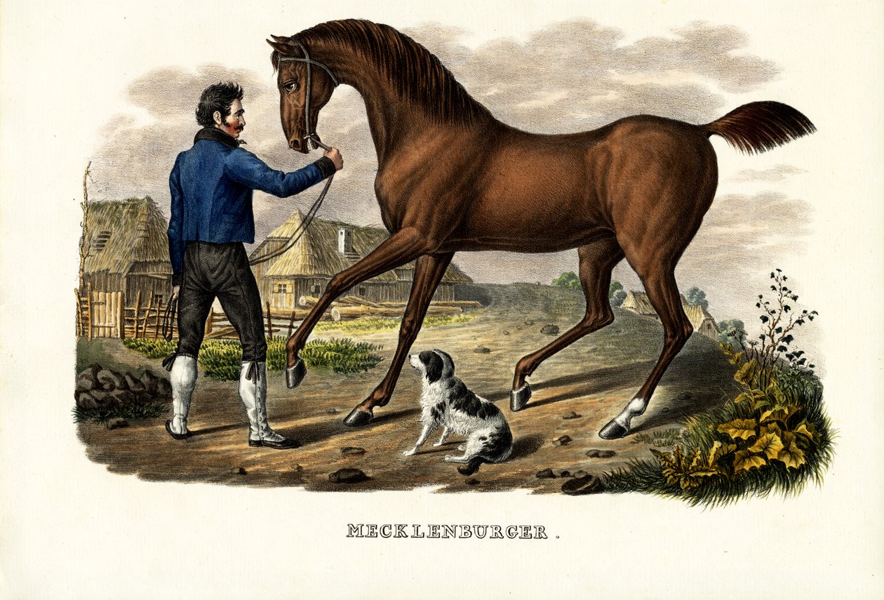 Mecklenburger Horse, 1824 tekijältä Karl Joseph Brodtmann