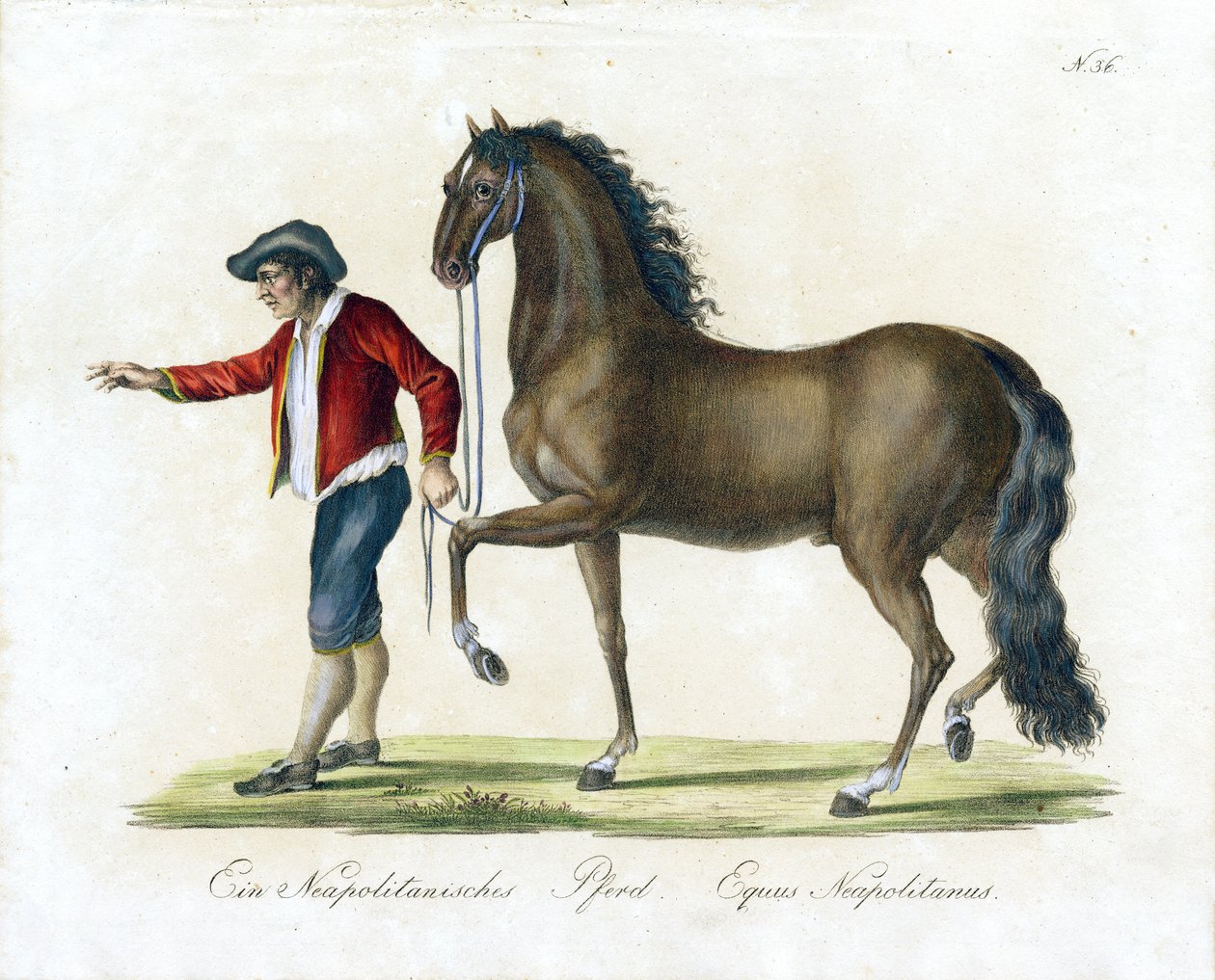  tekijältä Karl Joseph Brodtmann