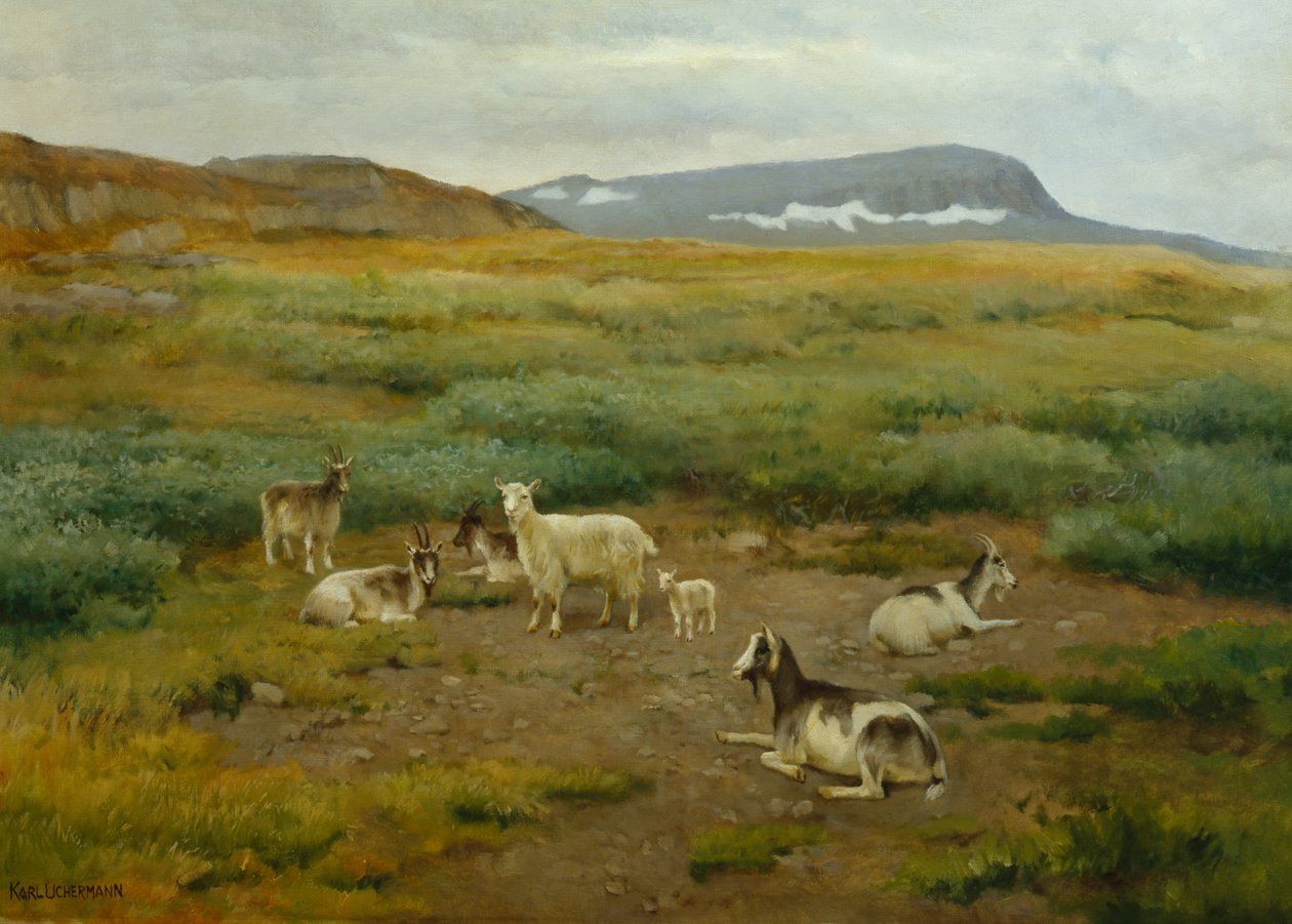 Vuohet nurmikolla tekijältä Karl K. Uchermann