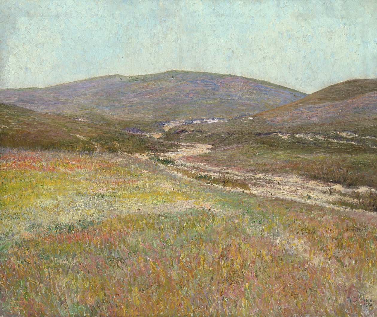 Laakso lähellä Harburgia tekijältä Karl Wilhelm Arthur Illies