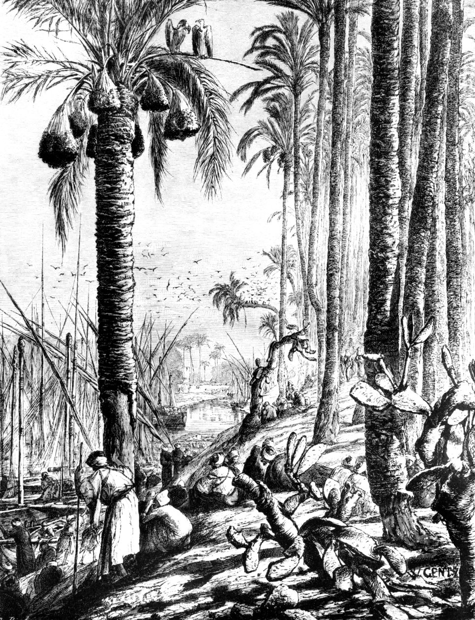 Kanavan reunat, Mahmoudiyeh, 1880 tekijältä Karl Wilhelm Gentz