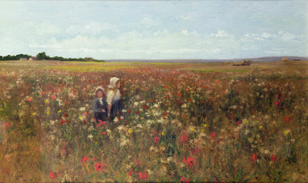 Poppyfield, 1897 tekijältä Kate Colls