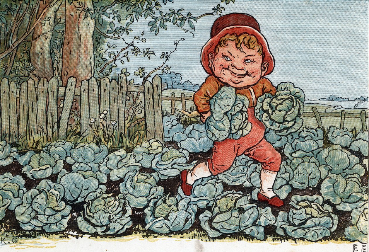 Tonttu varastaa kaalia kasvimaasta. (Goblin varastaa kaalia). Kate Greenawayn (1846-1901) kuvitus lasten satujen ja lorujen kirjasta "" Under The Window" (1879), toimittanut Edmund Evans. tekijältä Kate Greenaway