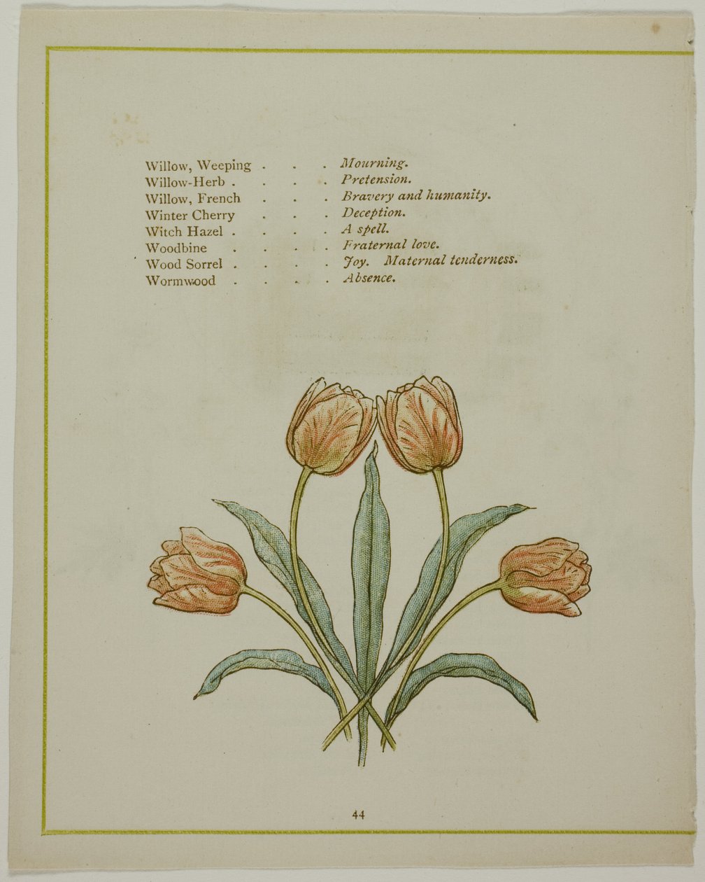 Koristeellinen kuvitus teoksesta The Illuminated Language of Flowers tekijältä Kate Greenaway
