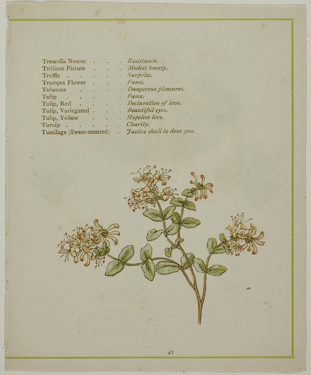 Valerian Through Volkamenia, kirjasta The Illuminated Language of Flowers tekijältä Kate Greenaway