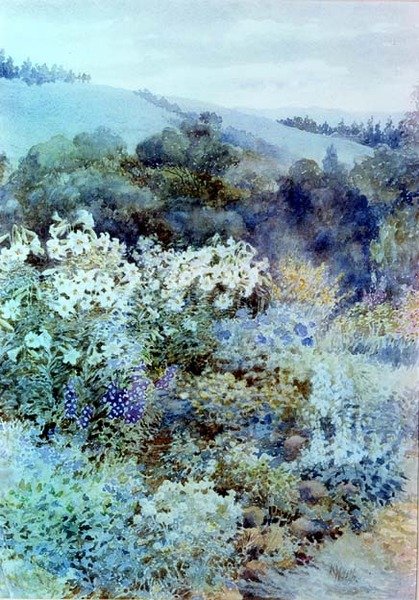 Eteläafrikkalaisessa puutarhassa, n. 1900-1910 (akvarelli) tekijältä Kate Haith