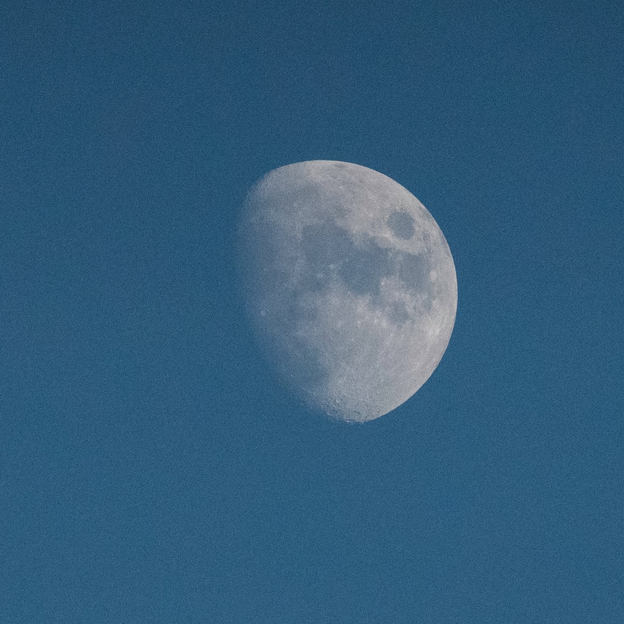 Look At The Moon, 2021 (kuva) tekijältä Katha Wood