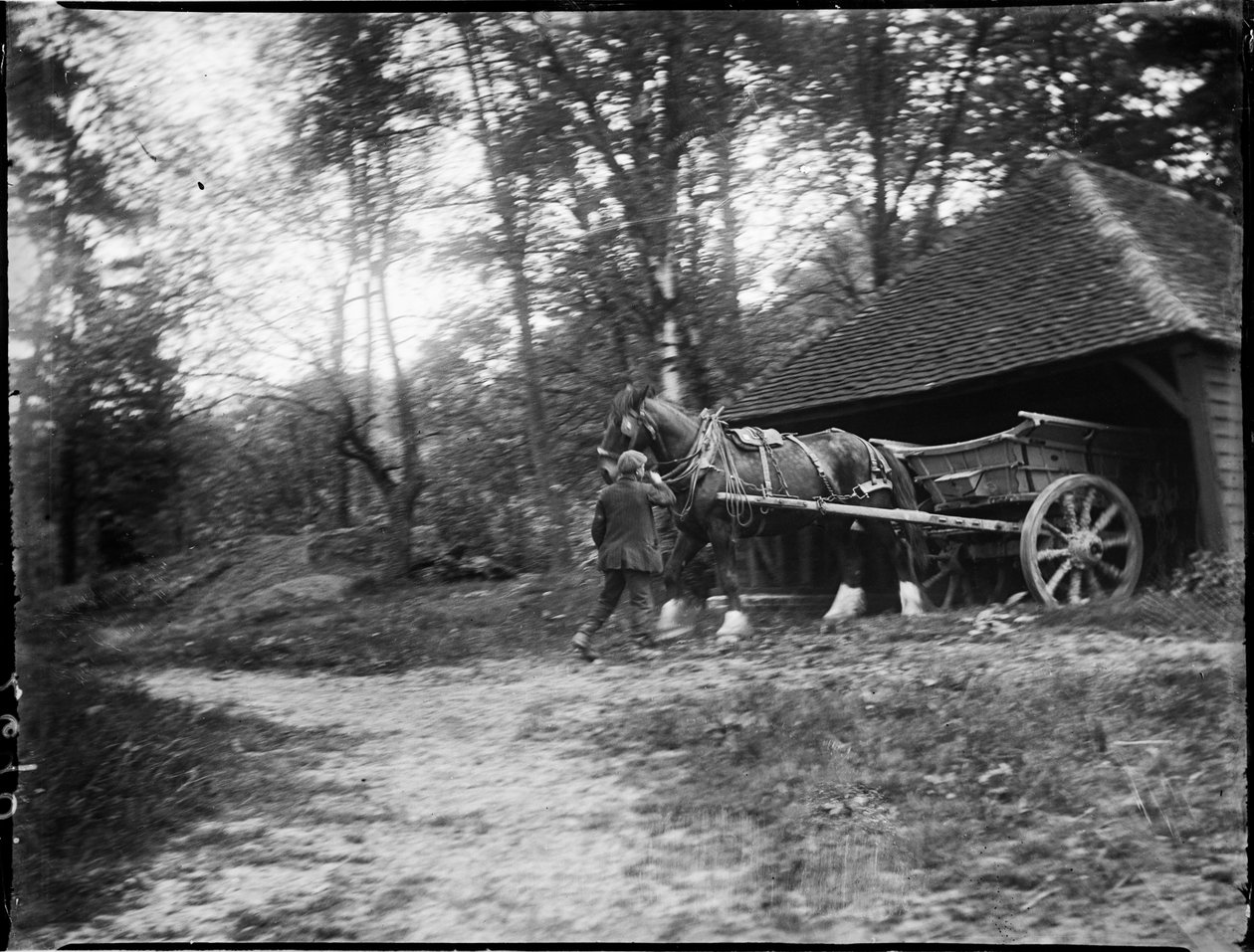 Groombridge, Speldhurst, Tunbridge Wells, Kent, 20.5.1911 (b/w valokuva) tekijältä Katherine Jean Macfee