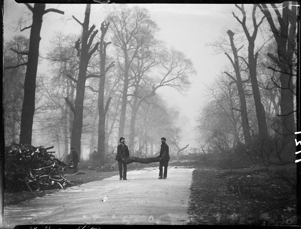 Kensington Gardens, Hyde Park, City Of Westminster, Lontoo, 26.01.1907 (b/w kuva) tekijältä Katherine Jean Macfee