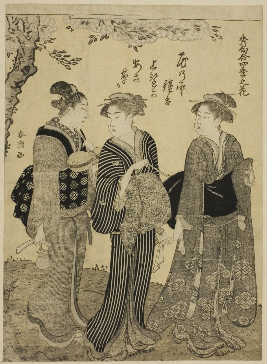 Cherry Blossoms in Spring, sarjasta "Choicest Odes upon Flowers of the Four Seasons (Shuku awase, shiki no hana)" tekijältä Katsukawa Shuncho
