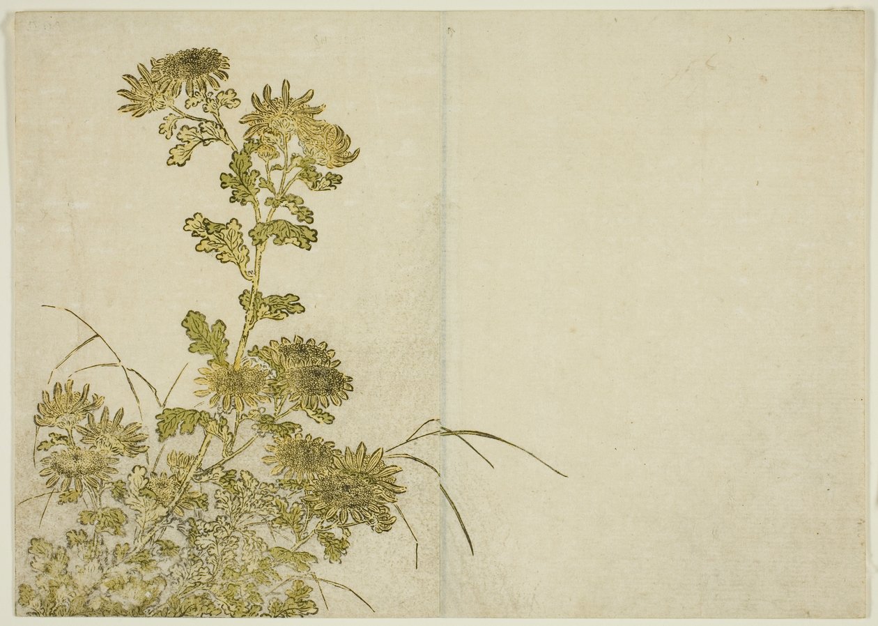 Talvikukat: Krysanteemit, kirjasta "Mirror of Beautiful Women of Pleasure Quarters (Seiro bijin awase sugata kagami)," voi. 1 tekijältä Katsukawa Shunsho