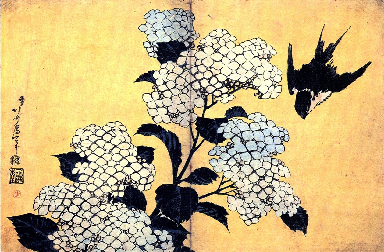Hortensia ja pääsky tekijältä Katsushika Hokusai