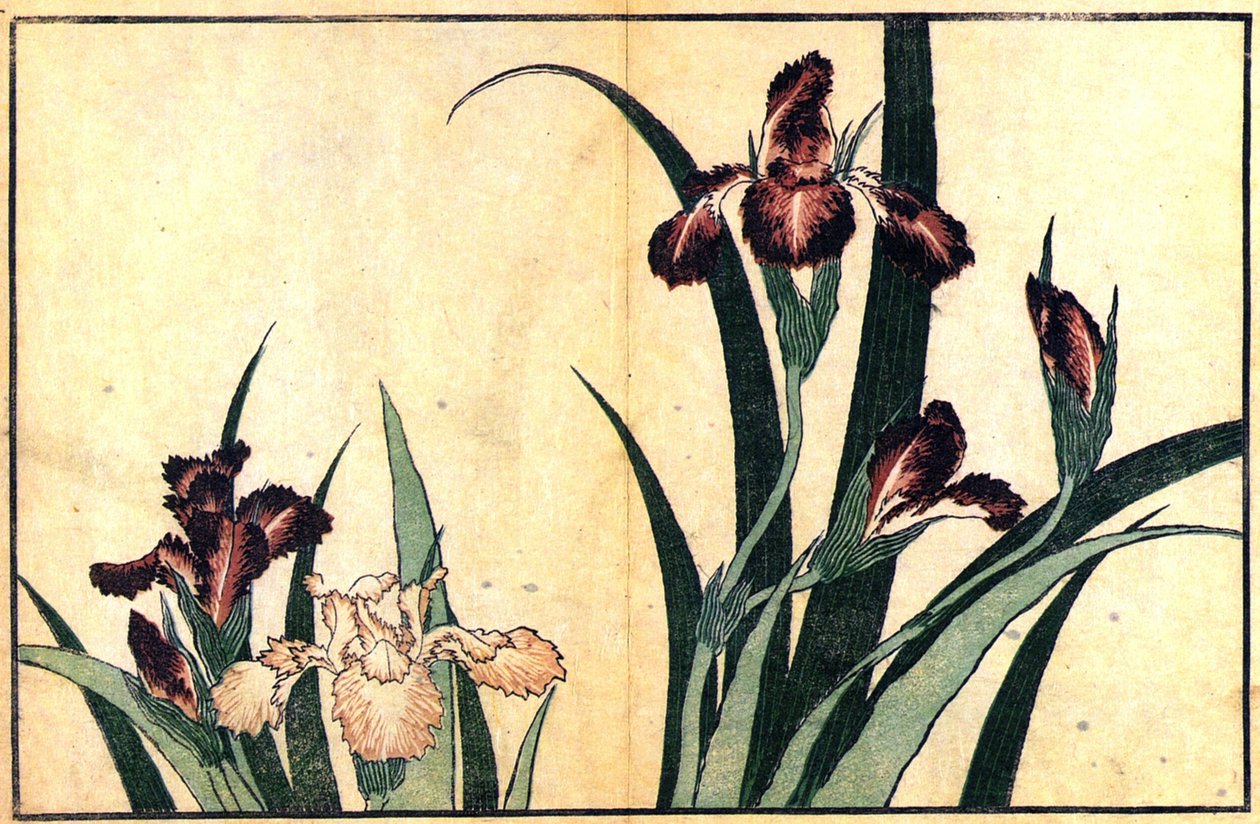 Iirikset tekijältä Katsushika Hokusai