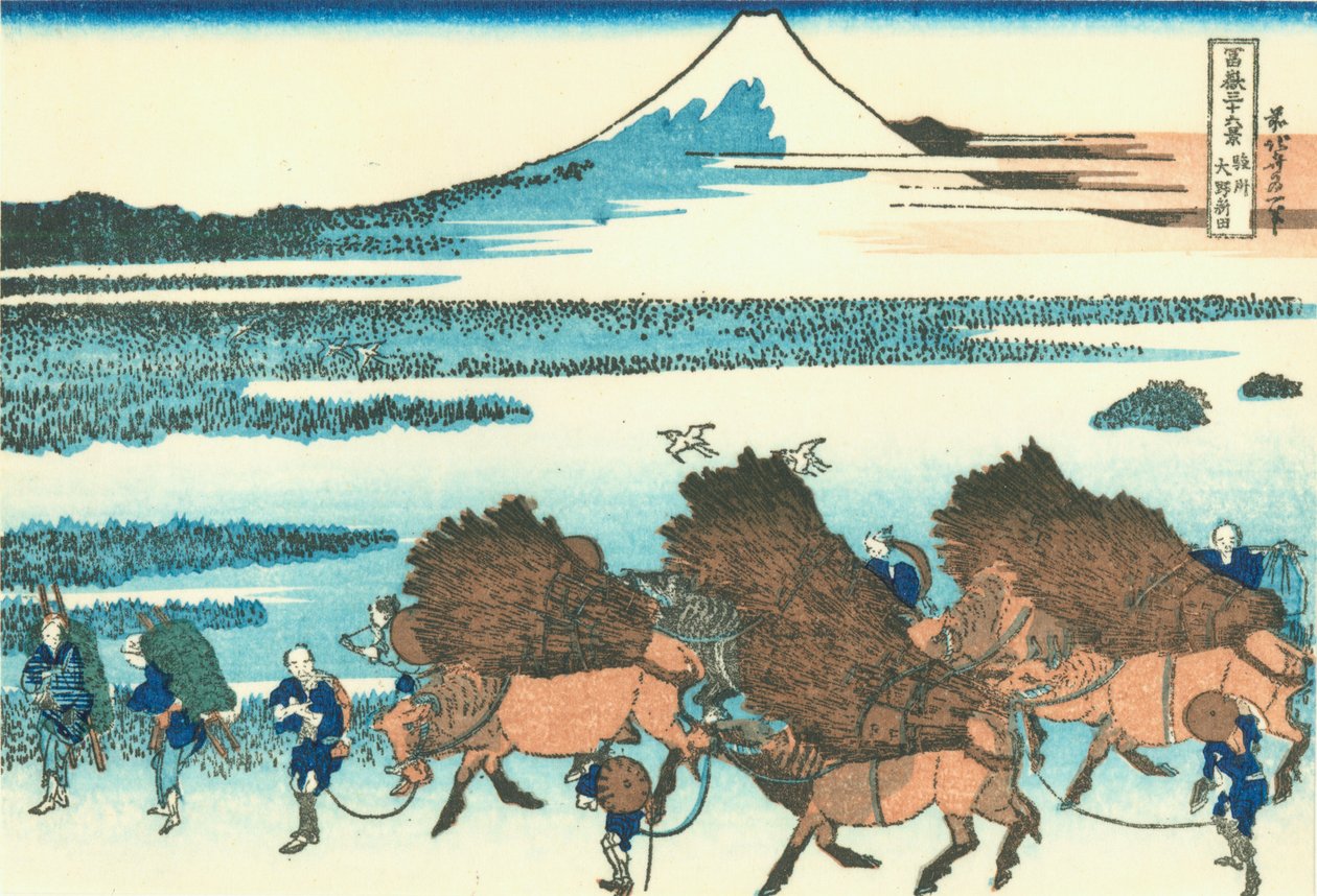 Riisipellot Ono, Suruga Province tekijältä Katsushika Hokusai