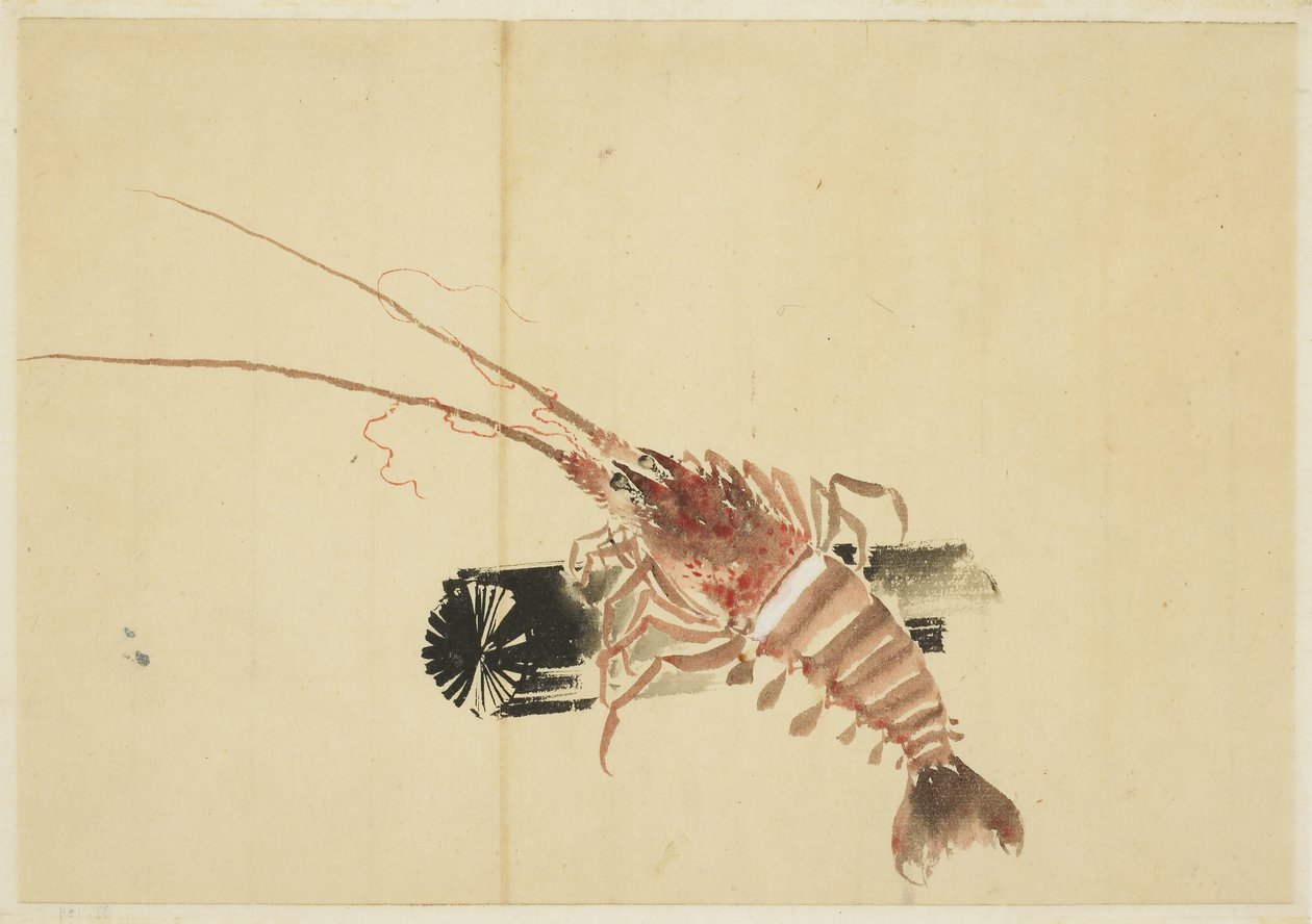 Ebi (Jättikatkarapu) tekijältä Katsushika (school of) Hokusai