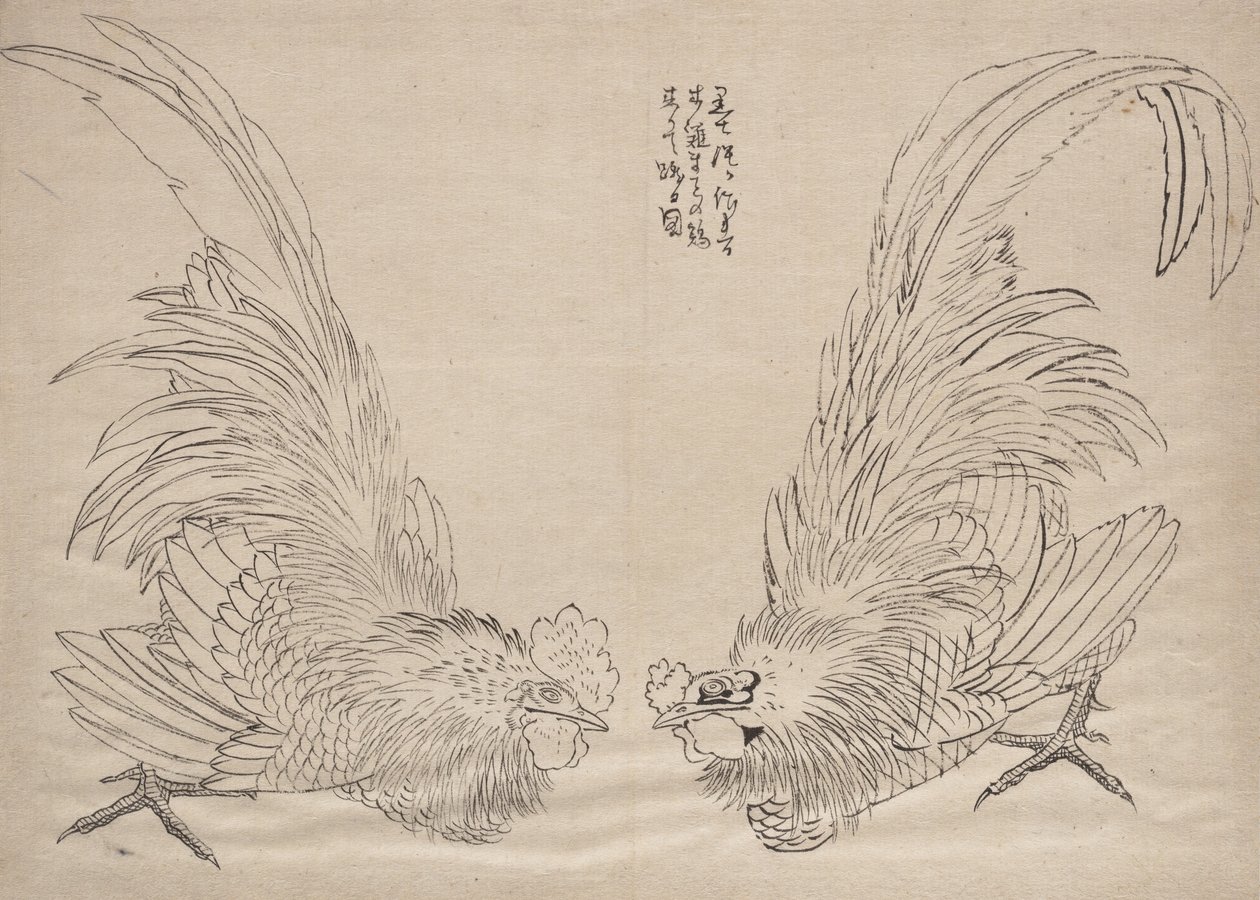 Katsushika Hokusain ja hänen opetuslastensa Sketches-albumi, 1800-luku. tekijältä Katsushika Hokusai