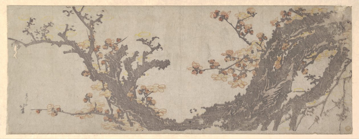 Kukassa oleva ikivanha luumupuu tekijältä Katsushika Hokusai