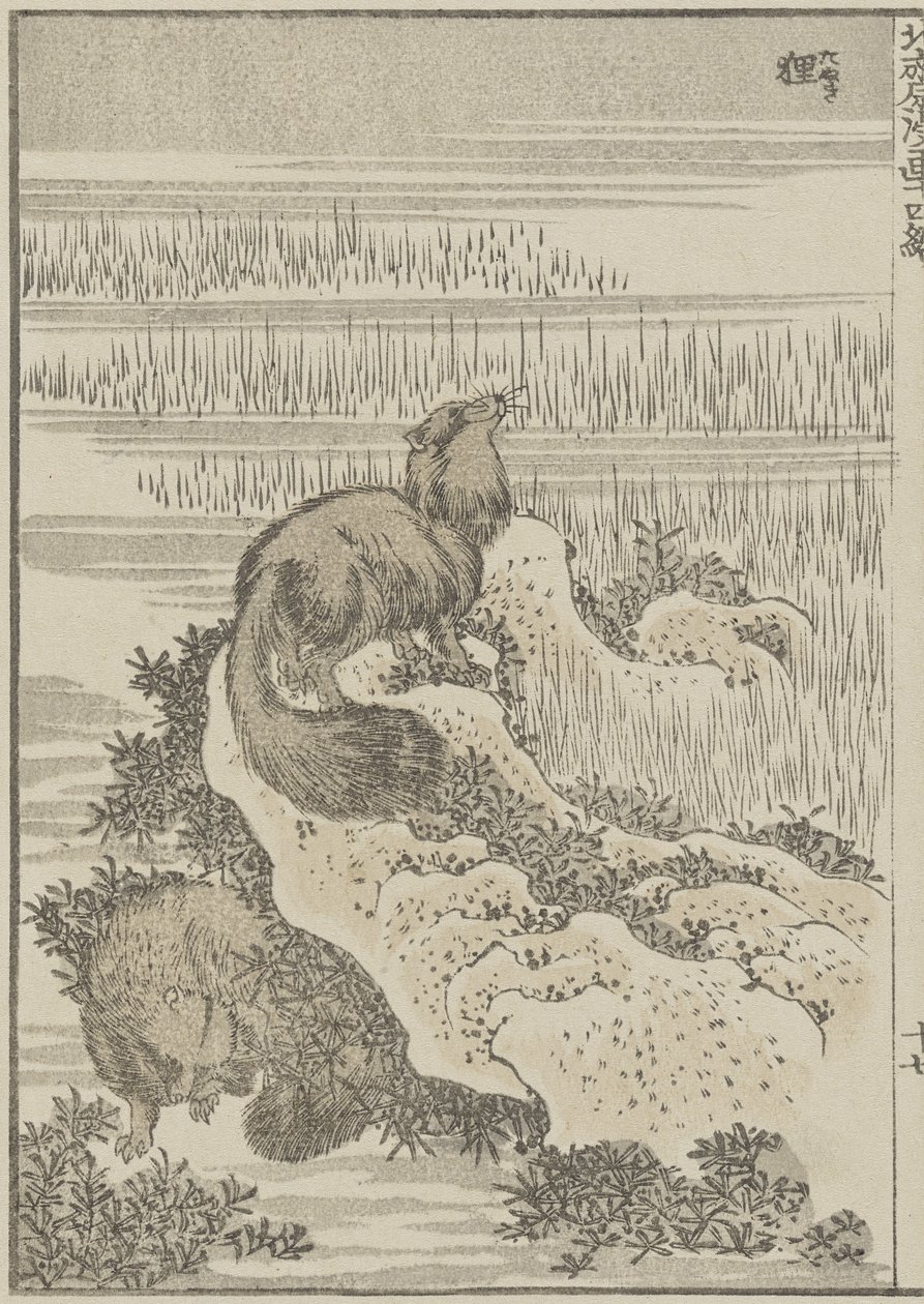 Mäyrä, c. 1840 (puupainatus) tekijältä Katsushika Hokusai