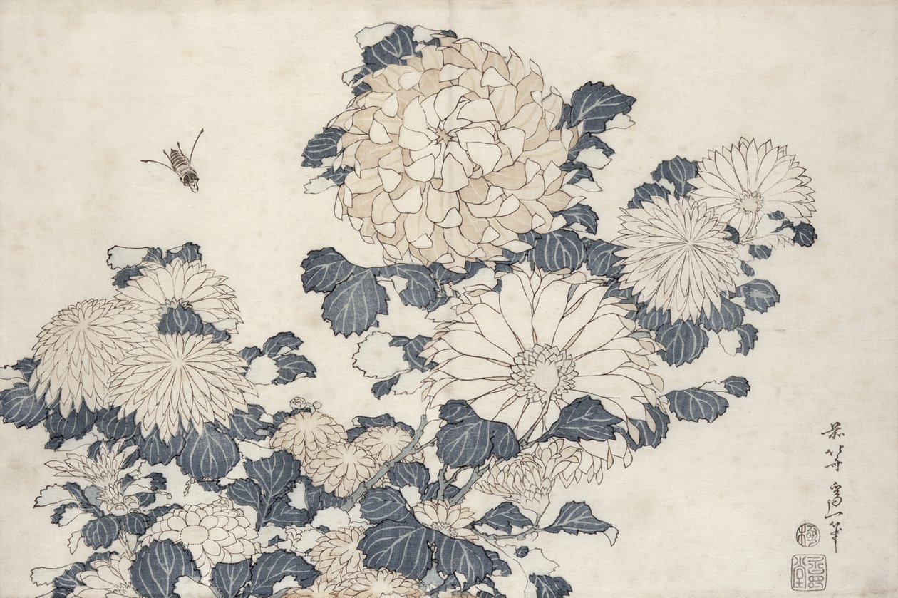 Mehiläinen ja krysanteemit sarjasta "Big Flowers" (värillinen puupainatus) tekijältä Katsushika Hokusai