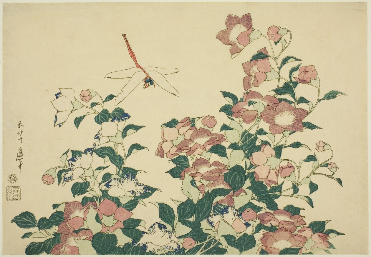 Bell-Flower ja Dragonfly, nimettömästä suurten kukkien sarjasta tekijältä Katsushika Hokusai
