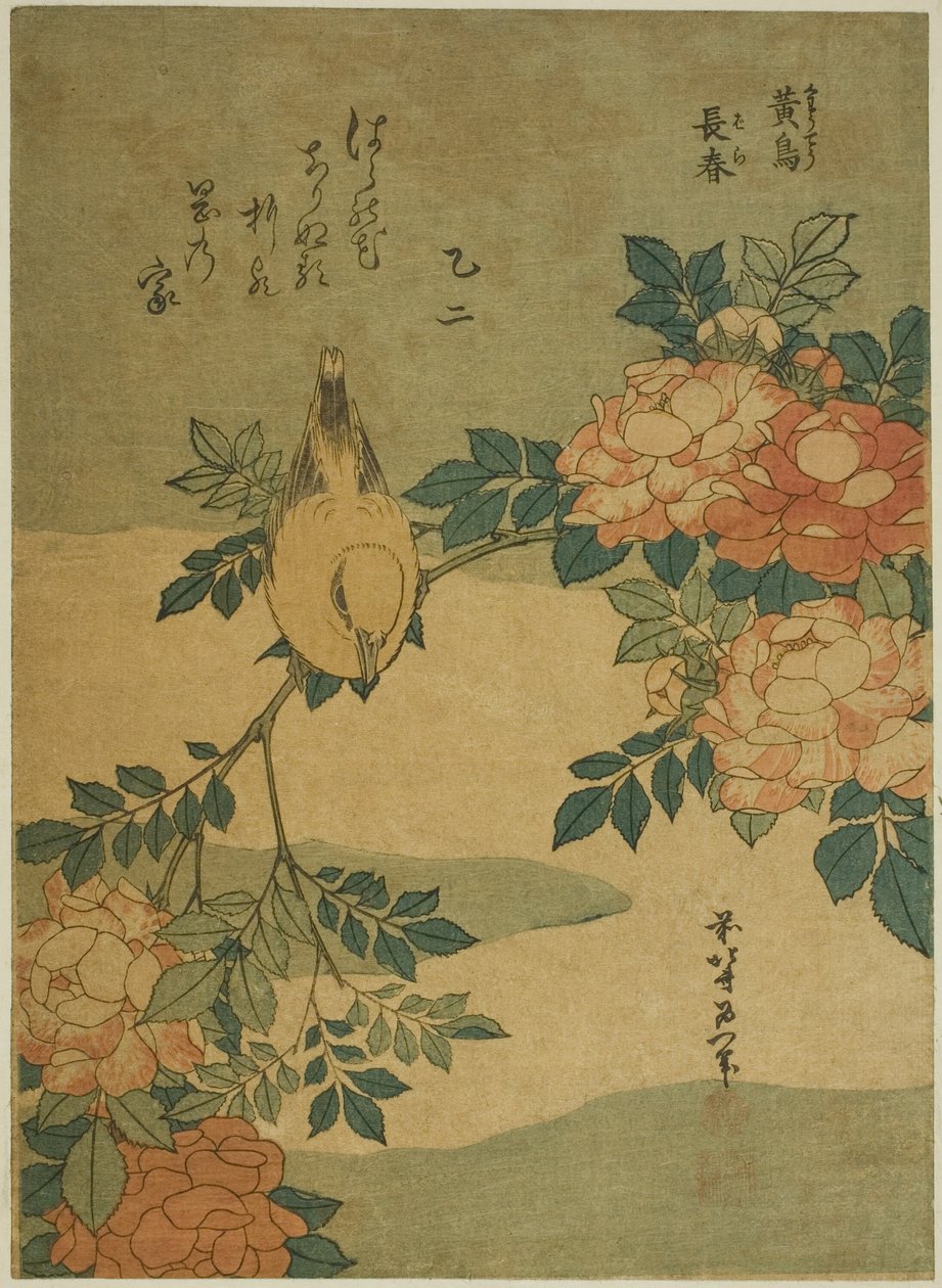 Pensaskirkko ja ruusu (Kocho, bara), nimettömästä kukkien ja lintujen sarjasta tekijältä Katsushika Hokusai