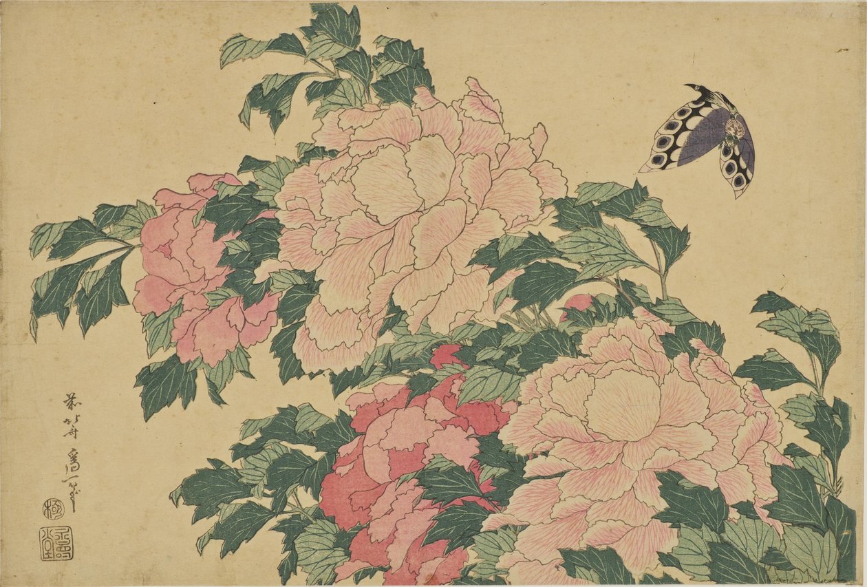 Perhoset ja pionit tekijältä Katsushika Hokusai