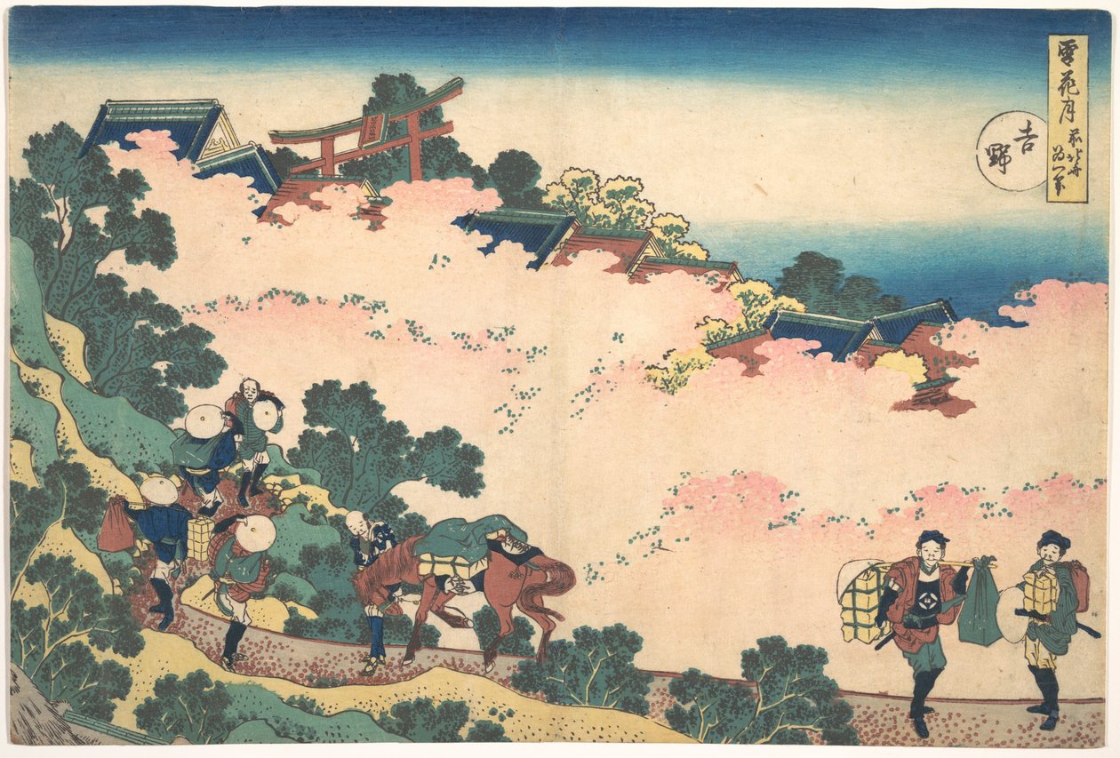 Kirsikankukat Yoshinossa (Yoshino), sarjasta ”Lumi, kuu ja kukat” (Setsugekka) tekijältä Katsushika Hokusai