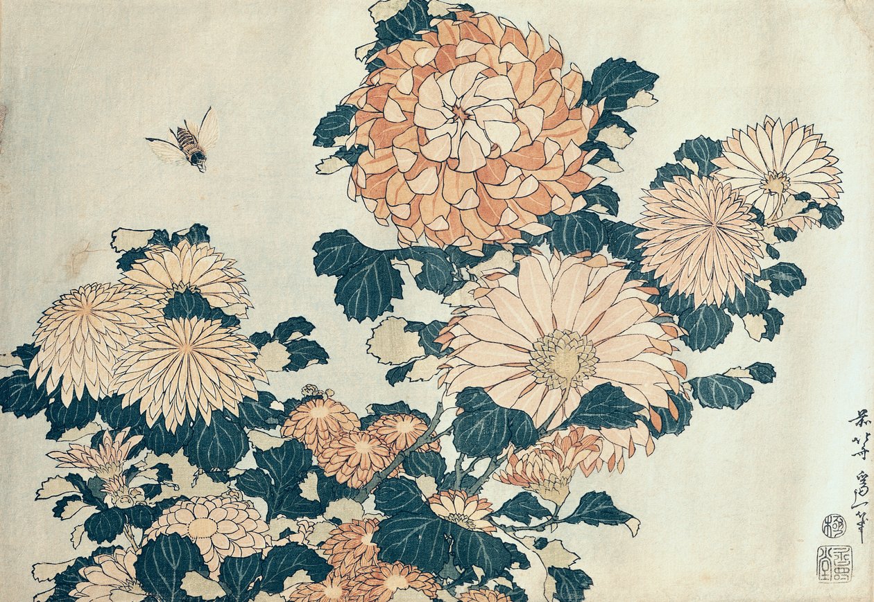 Krysanteemit (värillinen puupainatus) tekijältä Katsushika Hokusai