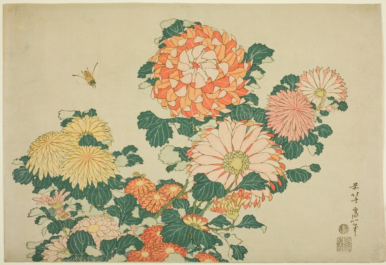 Krysanteemit ja mehiläinen nimettömästä Large Flowers -sarjasta tekijältä Katsushika Hokusai
