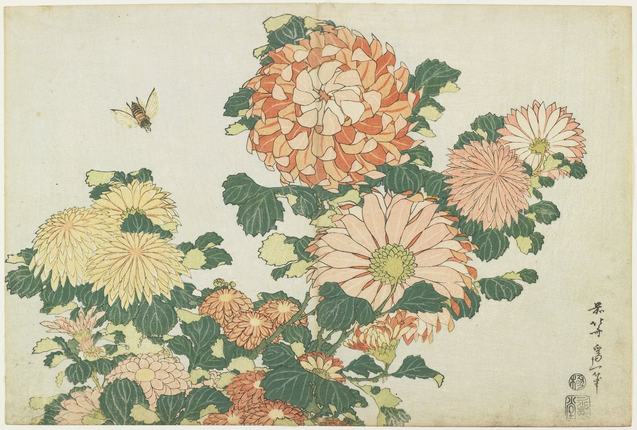 Krysanteemit ja hevoskärpänen, n. 1832 tekijältä Katsushika Hokusai