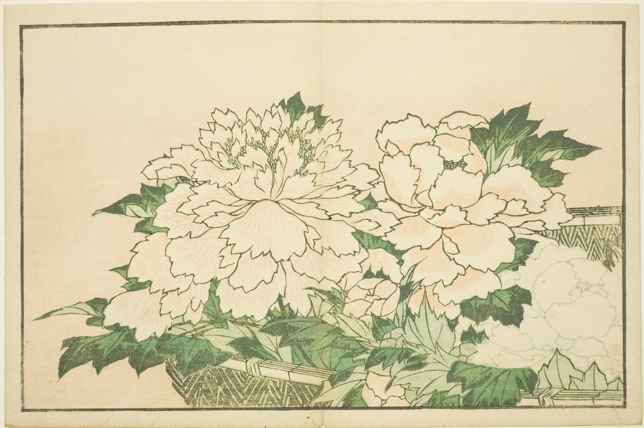 Krysanteemit korissa, Hokusain realististen maalausten kuvakirjasta (Hokusai shashin gafu) tekijältä Katsushika Hokusai