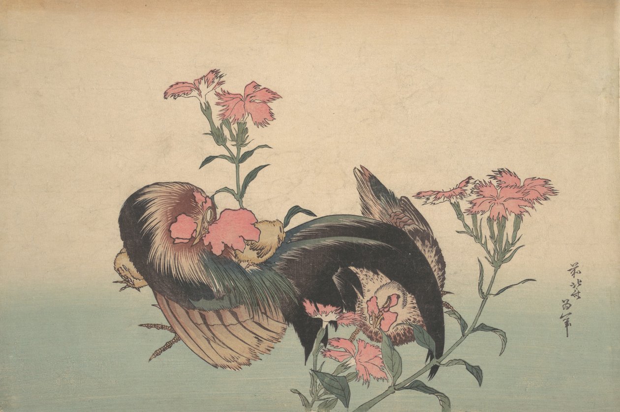 Kukko, kana ja Nadeshiko Dianthus Superbus. tekijältä Katsushika Hokusai