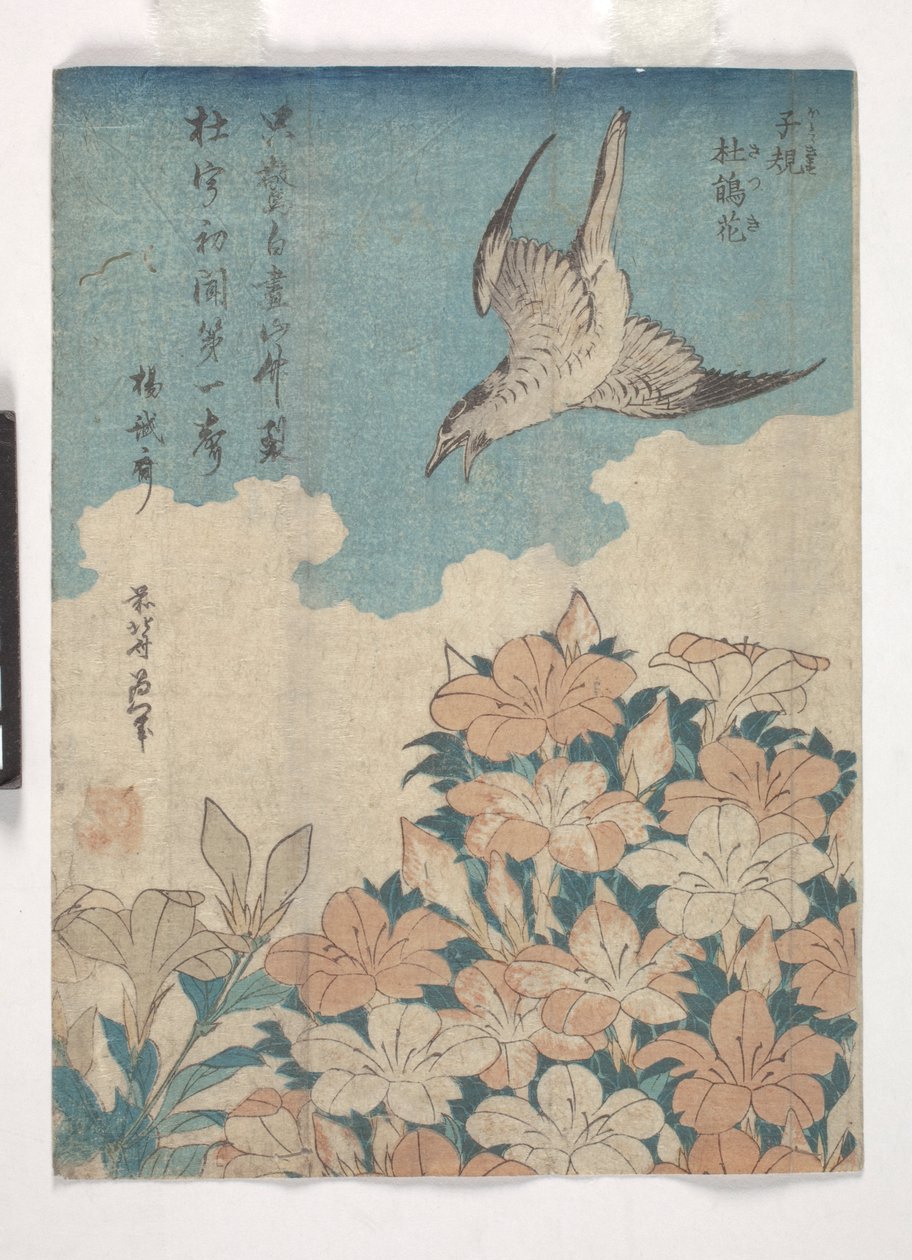 Käki ja atsalea (värillinen puupiirros) tekijältä Katsushika Hokusai