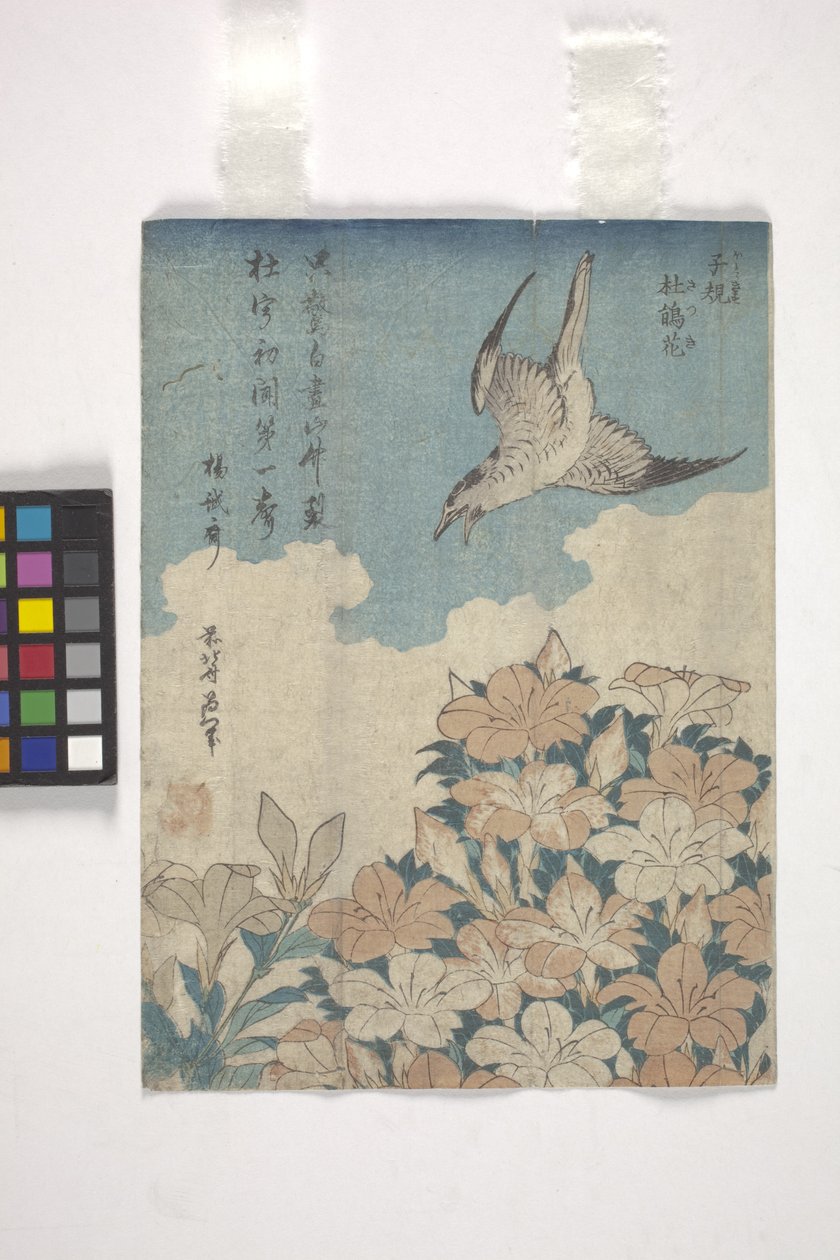 Käki ja atsalea (värillinen puupiirros) tekijältä Katsushika Hokusai