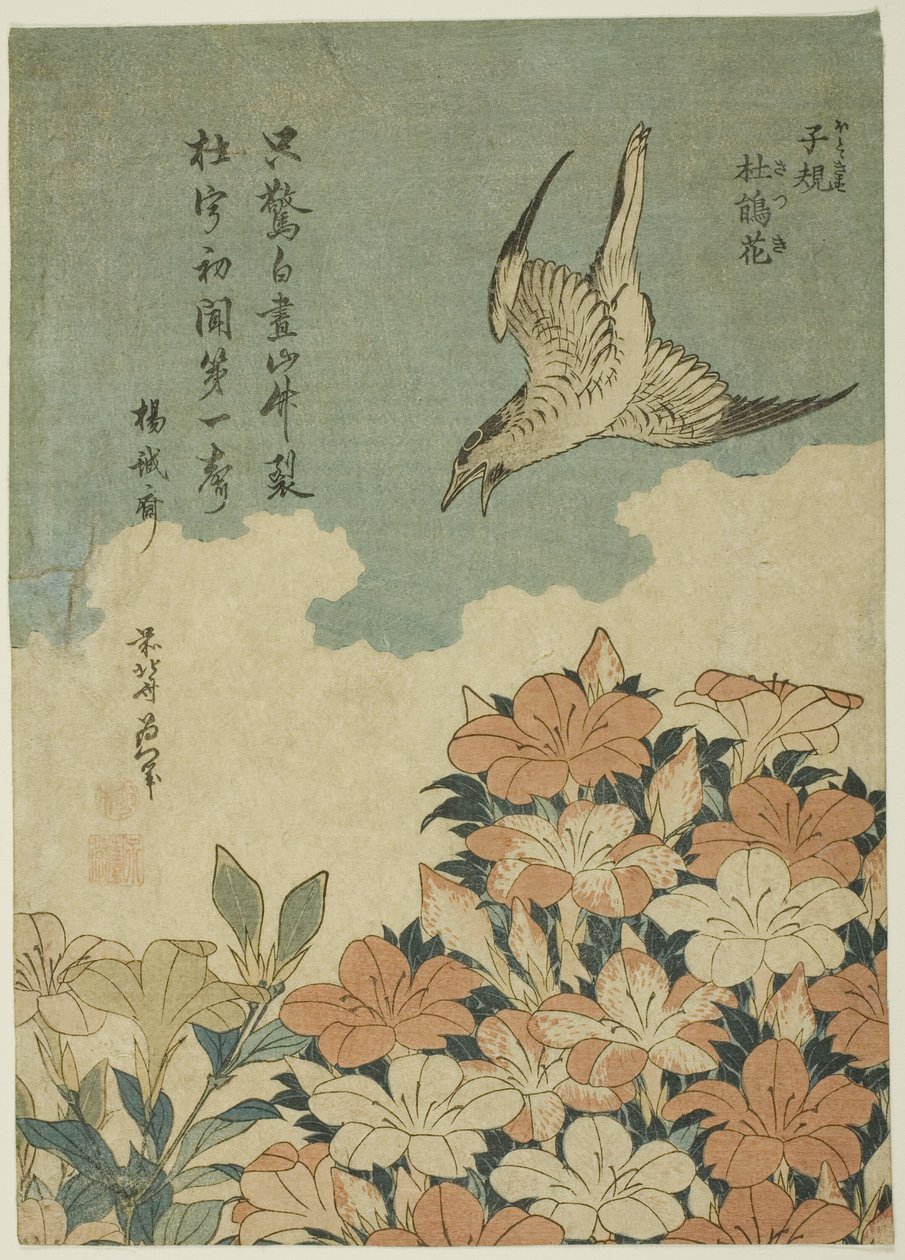 Ward c puuteriehdotus d kirjeesineet (Hototogisu, Satsuki) tekijältä Katsushika Hokusai
