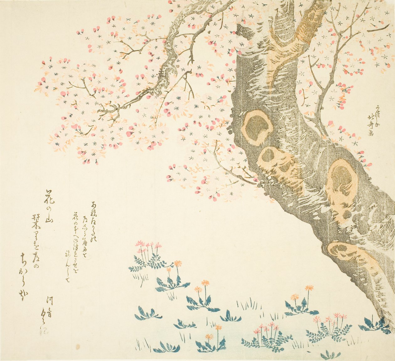 Voikukkia ja apiloita kirsikkapuun alla tekijältä Katsushika Hokusai
