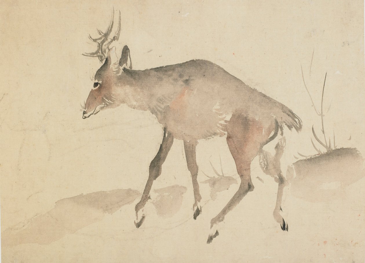 Hirvi, 1700-luvun loppu - 1800-luvun alku. tekijältä Katsushika Hokusai