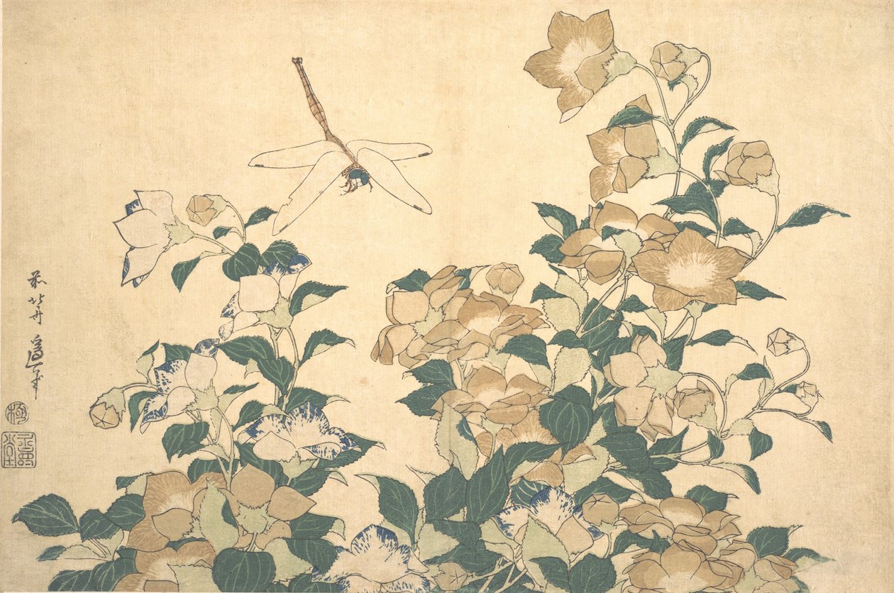 Dragonfly and Bellflower, 1820-luvun loppu. tekijältä Katsushika Hokusai