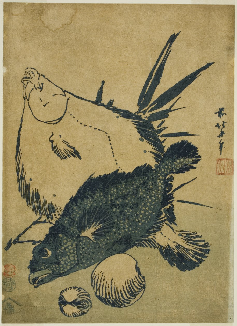 Kampelakalaa, skorpionikalaa ja simpukoita nimettömästä chuban-printtisarjasta tekijältä Katsushika Hokusai