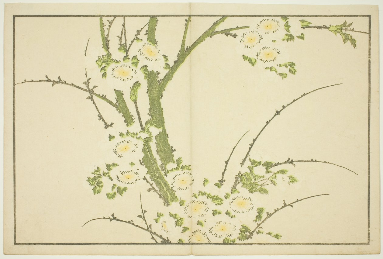 Kukat, Hokusain realististen maalausten kuvakirjasta (Hokusai shashin gafu) tekijältä Katsushika Hokusai