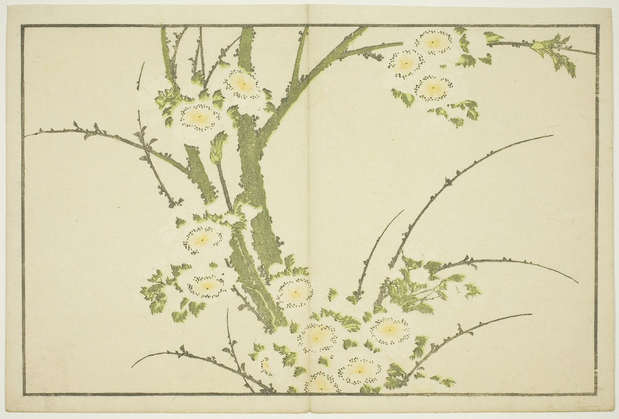 Kukkia, teoksesta Hokusain realististen maalausten kuvakirja (Hokusai shashin gafu), noin 1814 (värillinen puupiirros (albumiarkki)). tekijältä Katsushika Hokusai