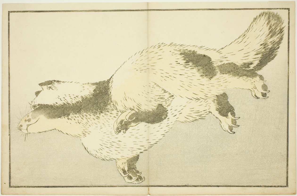 Fox, The Picture Book of Realistic Paintings of Hokusai (Hokusai shashin gafu) tekijältä Katsushika Hokusai