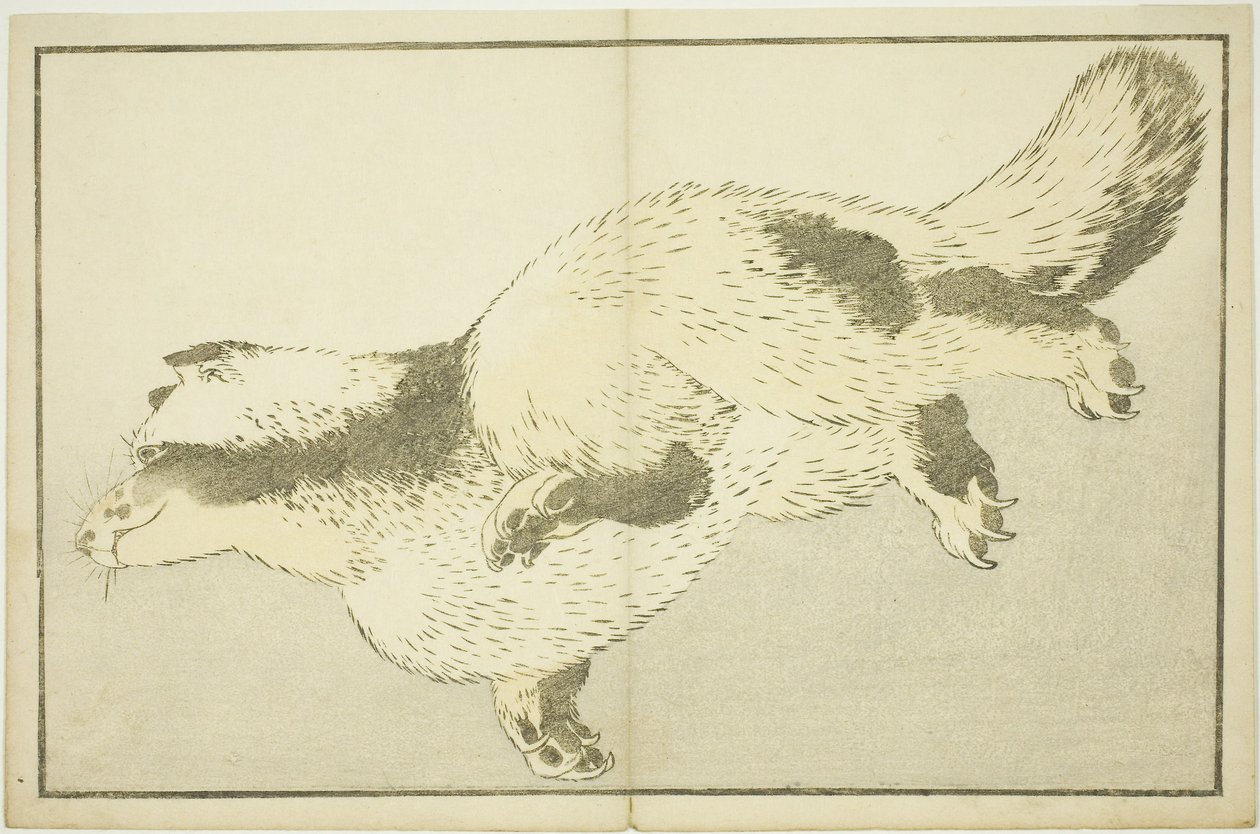 Fox, The Picture Book of Realistic Paintings of Hokusai (Hokusai shashin gafu) tekijältä Katsushika Hokusai